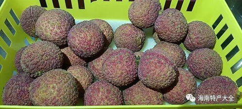 2.3元一顆的海南無核荔枝,為何賣的這么貴