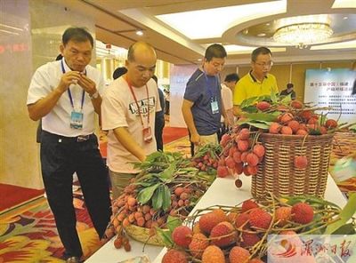 正是荔枝龍眼飄香時(shí) 中國(福建)荔枝龍眼產(chǎn)銷對(duì)接會(huì)在莆舉行