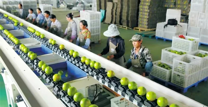 數(shù)字鄉(xiāng)村優(yōu)秀案例推廣①:澄邁縣&ldquo;特色品牌戰(zhàn)略助推高效農(nóng)業(yè)發(fā)展&rdquo;入選國家數(shù)字鄉(xiāng)村試點(diǎn)優(yōu)秀案例