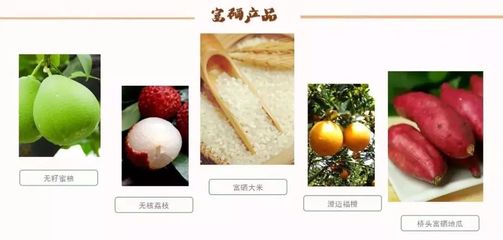 海南再傳佳音！無核荔枝之鄉(xiāng)榮膺“中國最美休閑度假勝地”