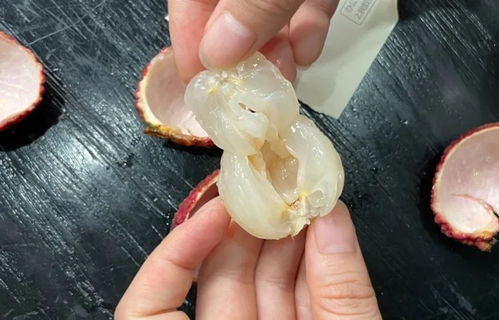 熱門荔枝大測(cè)評(píng) 無核荔枝來報(bào)恩了